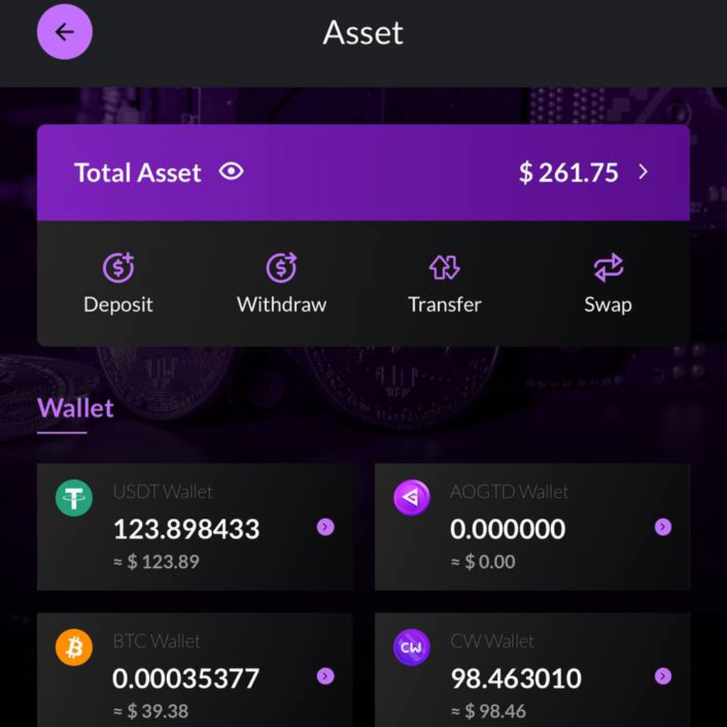 Success Story 2